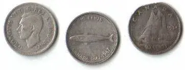 051909b.webp