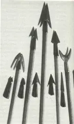 arrow-heads.webp