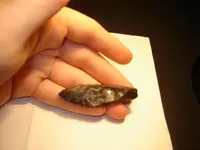 arrowhead4.webp