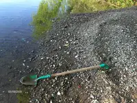 riverbank.webp