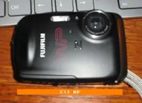 Z33WP.webp