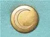 button crescent moon.webp button crescent moon.webp