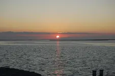 20.webp