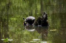 2009_05190007.webp