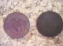 coins back.webp