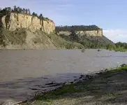 Coulson yellowstone river.webp