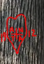 index.webp