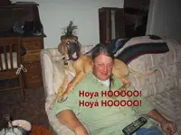 hoyaa hohhhh.webp