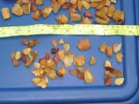 stone 014.webp