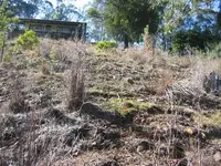part of site looking up.webp