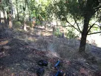 site 1 with detector in view.webp