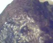 meteorite 003.webp