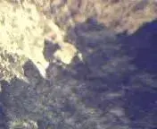 meteorite 006.webp