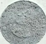 wilson.webp