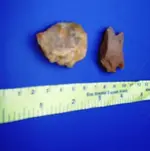 stone 007.webp