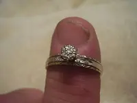 ringnetpic2.webp