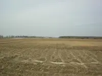 Wykopki 03.04.2005 004.webp
