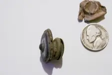 Canteen Button side.webp