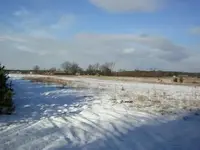 Wykopki 13.02.2005 010.webp