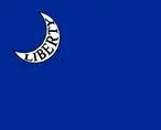 flag liberty.webp