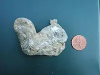 silver chunk with penny.webp
