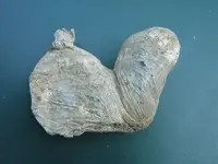 silver chunk  other side.webp