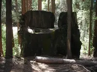 DSCN4998.webp