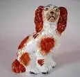 dog.webp