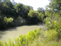 DSCN0155.webp