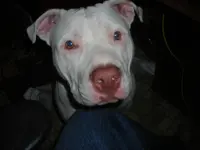 DSCN4999.webp