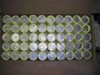 DSCN3187.webp