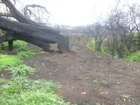 S7300682.webp