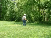 Gary detecting.webp