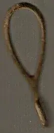 scan0010.webp