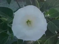 MVC-004F.webp