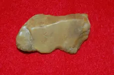 Dicks Pizza (2).webp