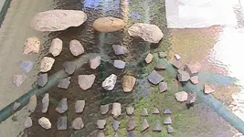 curios 061.webp