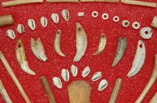 Feurt Site Finds (235).webp