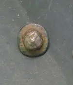 bronze button2 front.webp