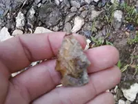 0504091928a.webp