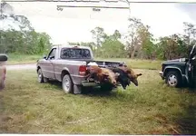 hogsdupuis.webp