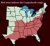Copperhead range.webp