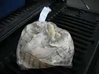 DSCF0013.webp