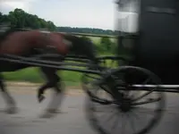 DSCF0023.webp