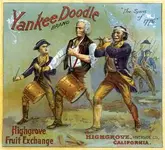 yankee_doodle.webp