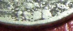 sheild date 2.webp