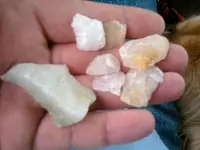 july flakes.webp