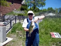 5lb. largie 2..webp