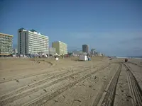 J73D.webp