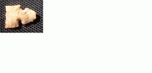 WichitaPt2.GIF